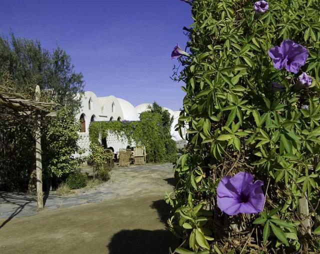 Bahariya Lodge IMGP4483.jpg